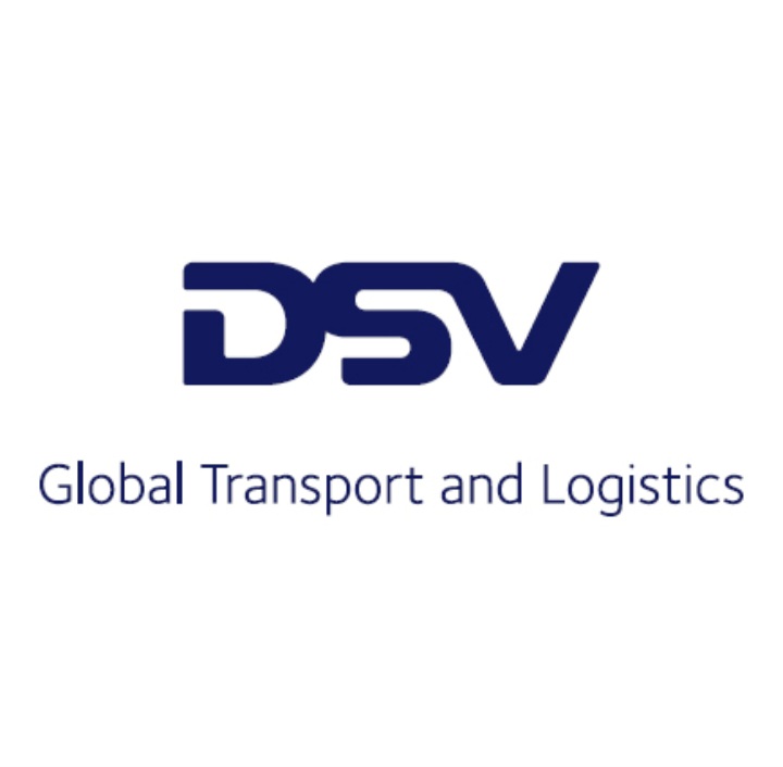 DSV logo